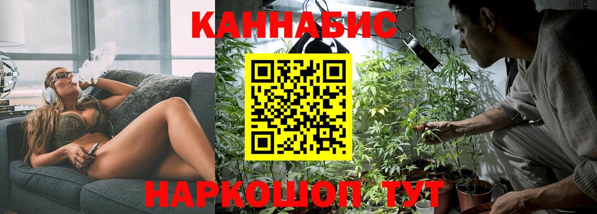 Конопля гибрид Большой Камень